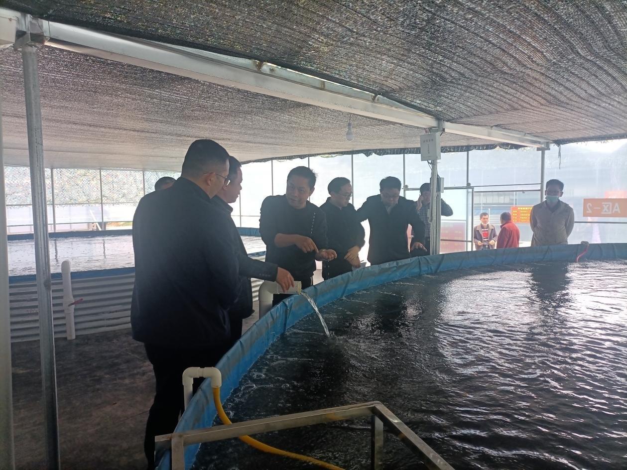 廣西率先突破！河池這家水產養殖企業為何能躋身國家級榜單？