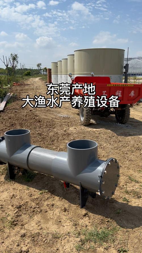 工廠化循環水養殖 高密度水產養殖的未來之路