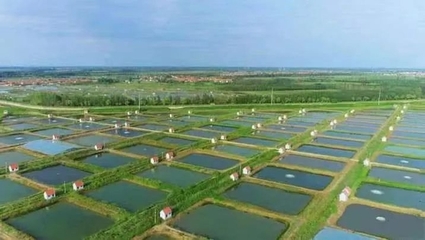 博興縣 5G+智慧漁業，水產養殖更高效